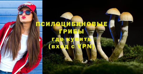 СК Осинники